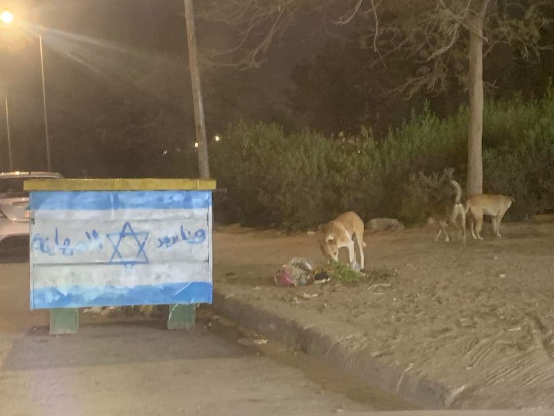 صناديق الصهاينه ( القمامة ) في العاشر من رمضان .