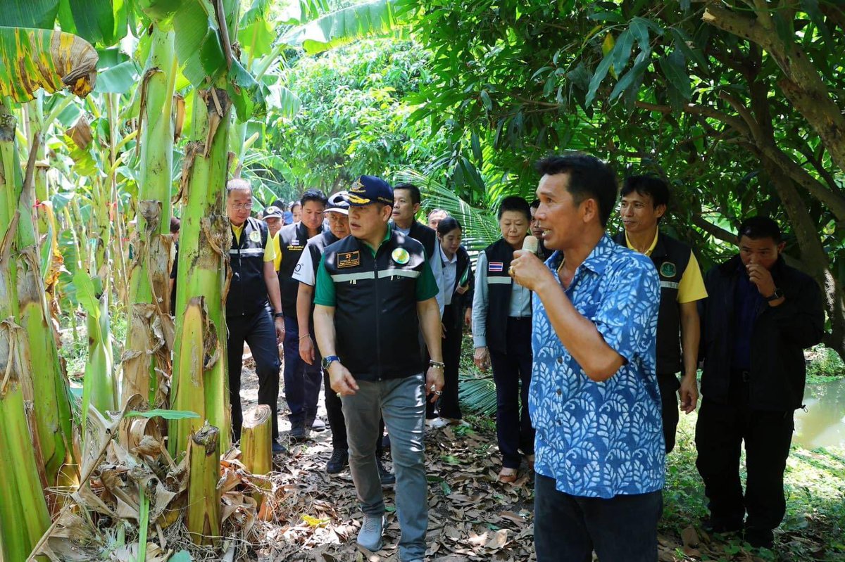 nnthotnews's tweet photo. #ธรรมนัส ลงพื้นที่ตรวจเยี่ยมแปลงใหญ่กล้วยหอมทอง ตำบลนพรัตน์ อำเภอหนองเสือ จังหวัดปทุมธานี ผลักดันแปลงใหญ่ #กล้วยหอมทองปทุมธานี มุ่งขับเคลื่อนด้วย #BCGModel พร้อมยกระดับสู่การเป็นสินค้ามูลค่าสูง https://t.co/lrT2JFdgJK