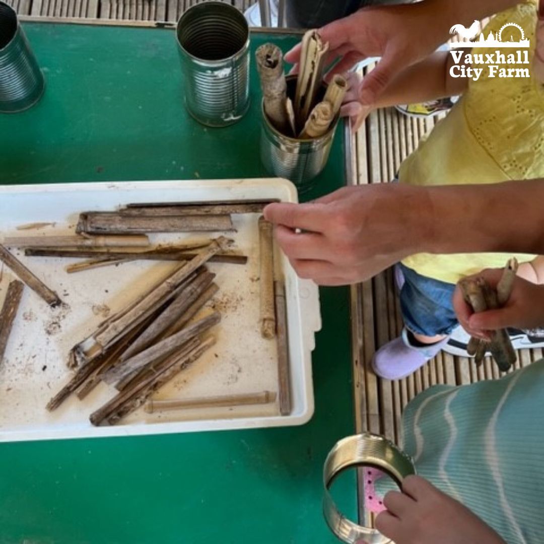 This Easter half-term, learn about the nature-world with our Wildlife Conservationist for FREE at Conservation Club. Register Here: buff.ly/48HiKeQ #Halftermactivitiesforkids #London #Kidsactivities #Learningthroughplay #NatureLove #Thingstodo #ConservationClub