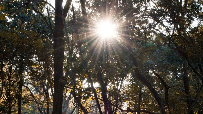 #IMD heat wave alert for #Bengaluru as #temperatures soar to 36.4°C is a wake-up call for adaptation strategies. #Investing in #greenspaces efficient cooling systems, and raising awareness on heat-related risks is #crucial #HeatWavePreparedness #BengaluruWeather'