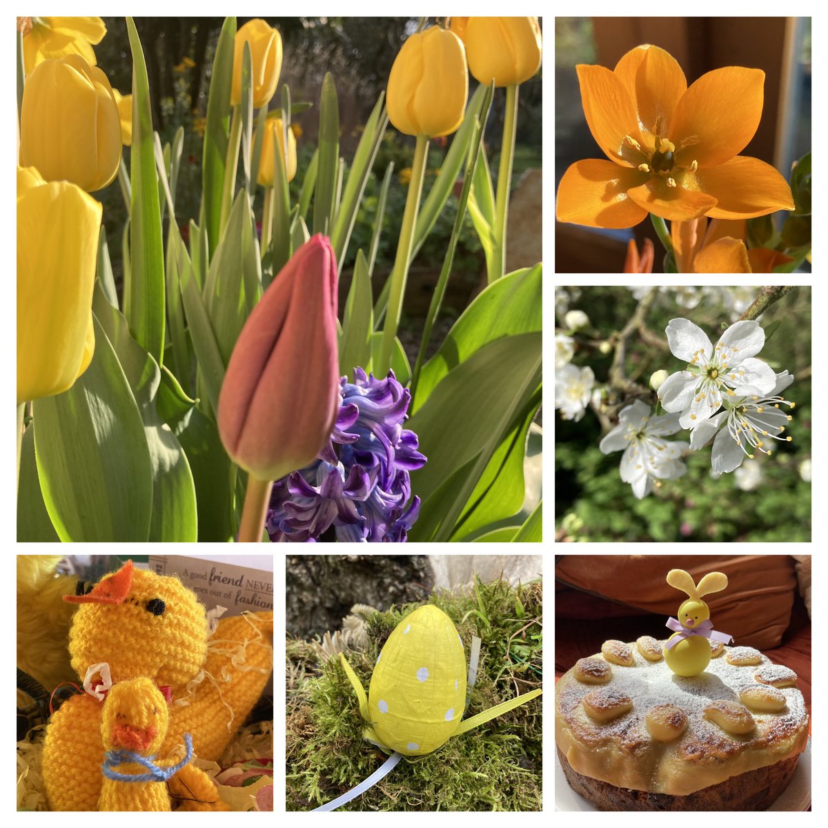 As the ⏰ “springs forward” tonight we will have more time for gardening 👏.
🌷🐣Happy Easter all🌷🐣 #SixOnSaturday #EasterSunday #GardenersWorld