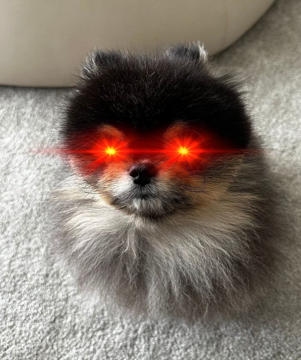 Bobaoppa tweet media