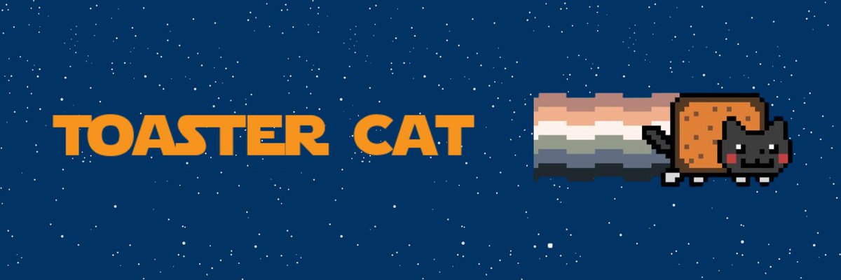 Toaster Cat tweet media