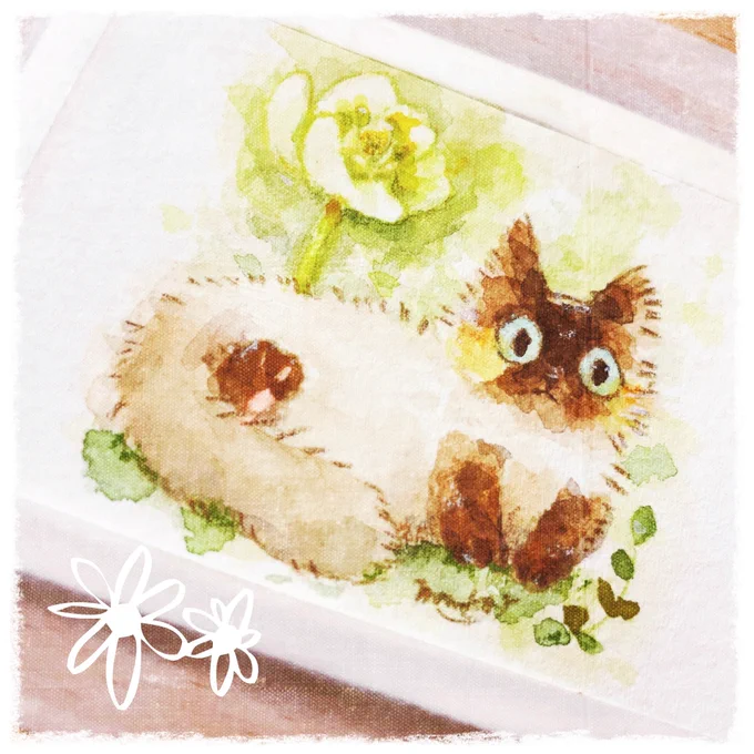 #無言で絵を貼るとフォロワーさんが増える 