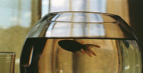 _ryeli's tweet image. ↻ restarting !

ੈ♡˳ hi  #studytwt #booktwt #lifetwt! i'm Ely &amp;lt;33

·˚ ༘   it's my last year as a HUMSS student!
·˚ ༘   aspiring author | 18
·˚ ༘   tadhana girlie + mundo °♪
·˚ ༘   she/her/they/them
·˚ ༘ let's be friends! you're safe here

pax optima rerum! ♡ / ↻ to be moots !