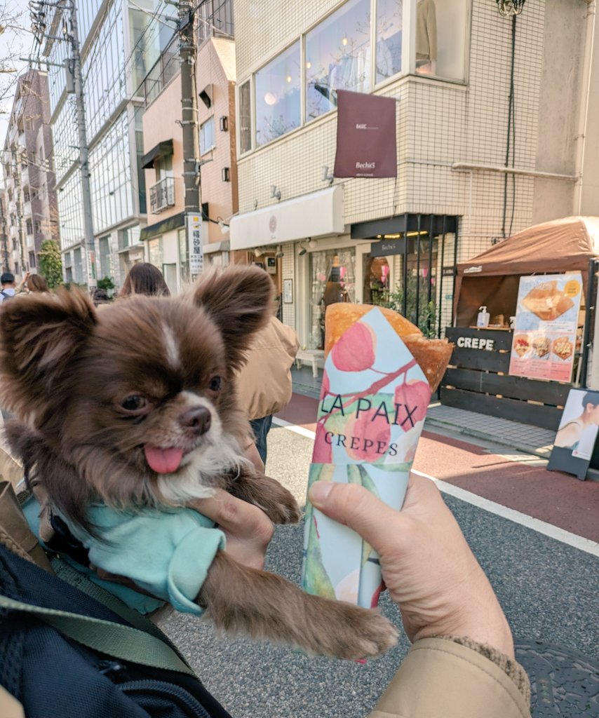 cancan05281's tweet photo. 目黒川の桜はまだだけど、クレープは大人な味わいで美味い✨また食べたい❗
yum-yum Meguro river La Paix  crape❗
＃目黒川 #目黒川桜まつり
＃クレープ #lapaix 
#さくら ＃桜 
#チワワ #チワワのいる暮らし
#meguro #meguroriver
#sakura #cherryblossom https://t.co/alZXA3lNqM