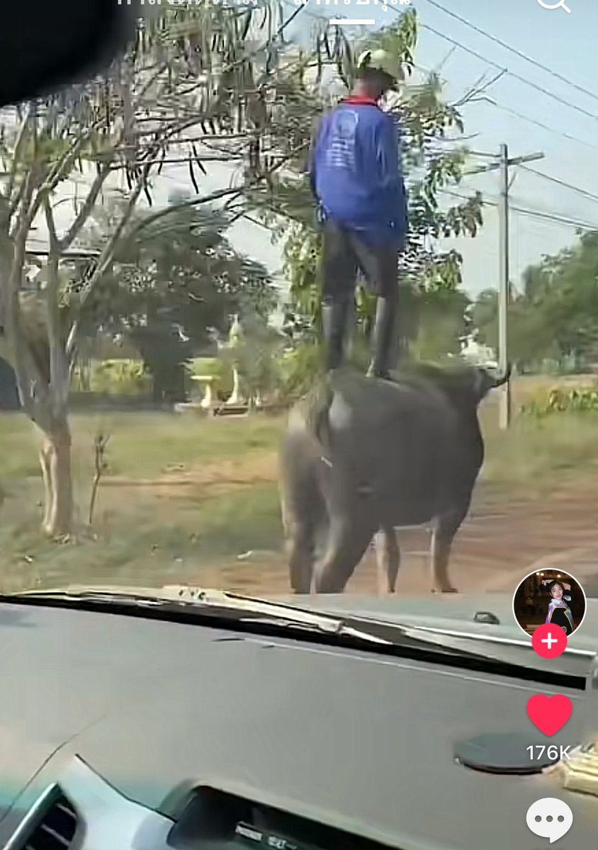 คนไทยไปสุดตรงไหน55555555555