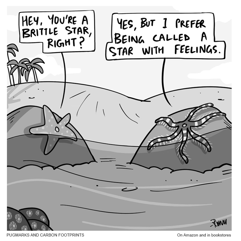 You're allowed to be a brittle star! Cartoon from my book Pugmarks and Carbon Footprints: amazon.in/Pugmarks-Carbo… #seastars #brittlestar #cartoons #greenhumour #nature #oceans #shores #wildlife