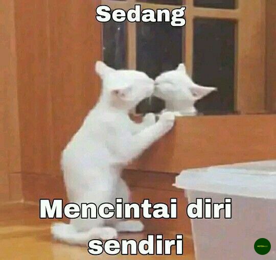 nctzh ON 💡 check pinned 📌 tweet media