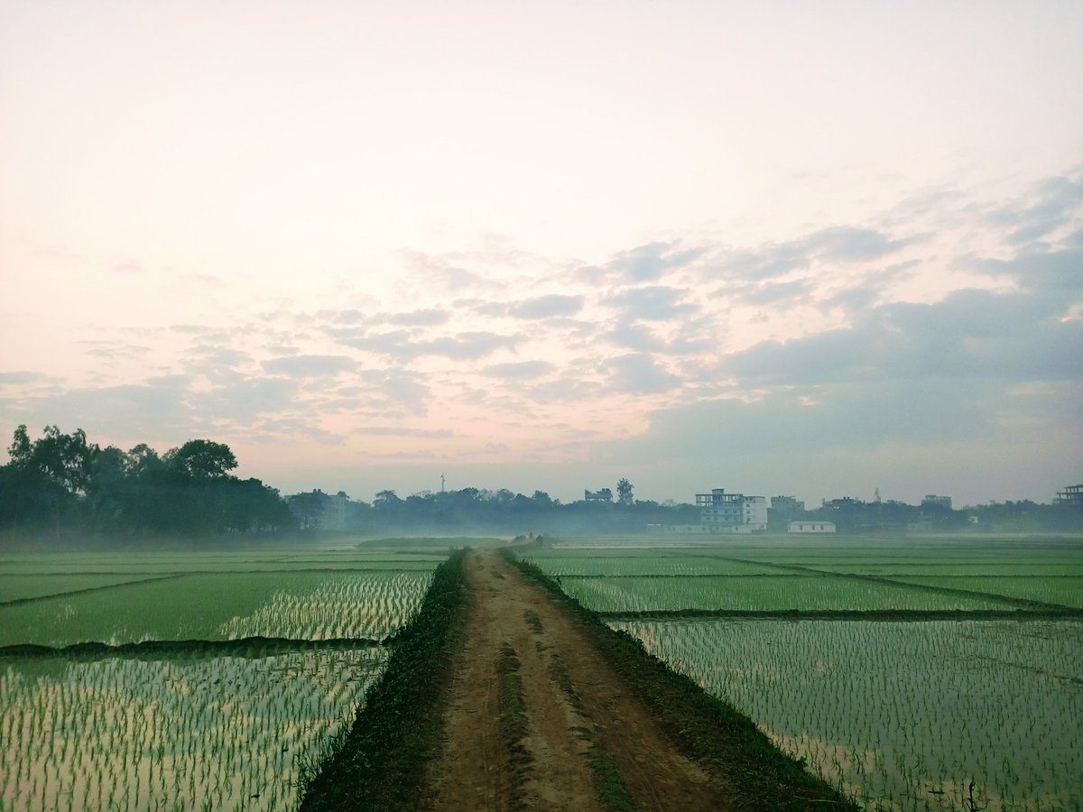 itslazaf's tweet photo. A Deep Morning 🌞 https://t.co/hC7Ycb6raS