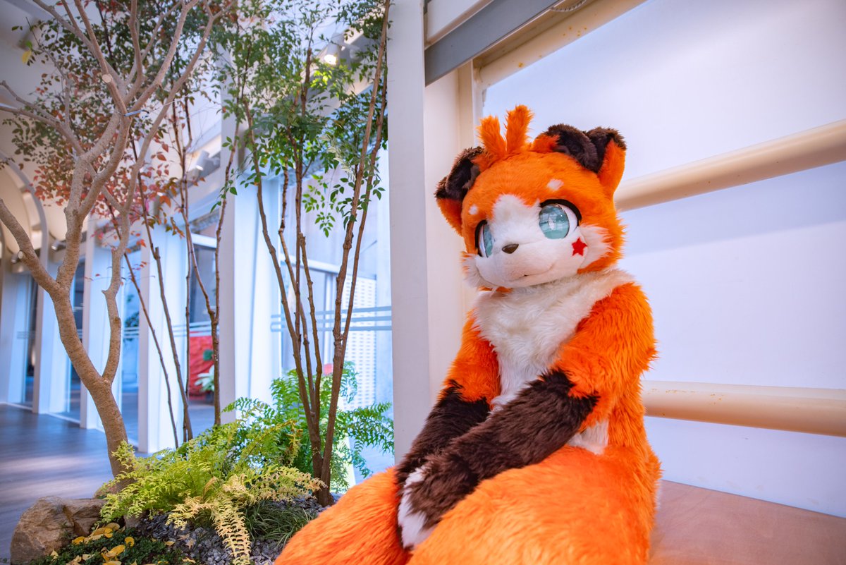 7歳の誕生日!!!! 第七年生日!!!! happy seventh birthday!!!