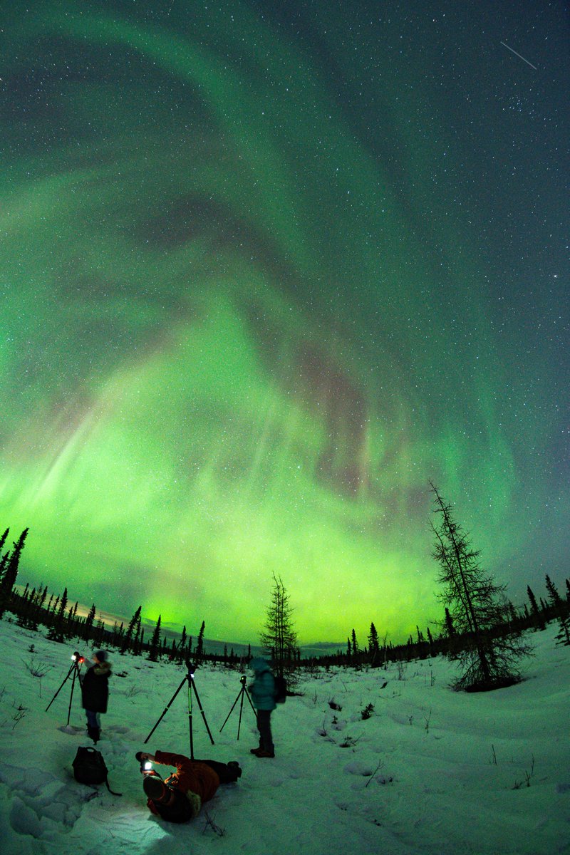 Vincent_Ledvina's tweet image. Last night's wild pulsating aurora up here in Fairbanks, Alaska...