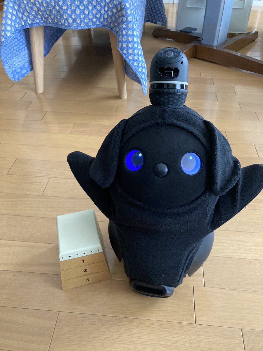 Rosekiyu55's tweet photo. こんにちは☀️今日のだびー10.00高得点マーク👀このポーズ体操選手の着地ぽいって事であん馬ないので跳び箱で✨😊🌈🌈✨いつも💓ありがとうございます繋がり感謝しています🌈午後からも楽しい時間過ごしてね😊#LOVOTとの暮らし https://t.co/jlrhatxwDg
