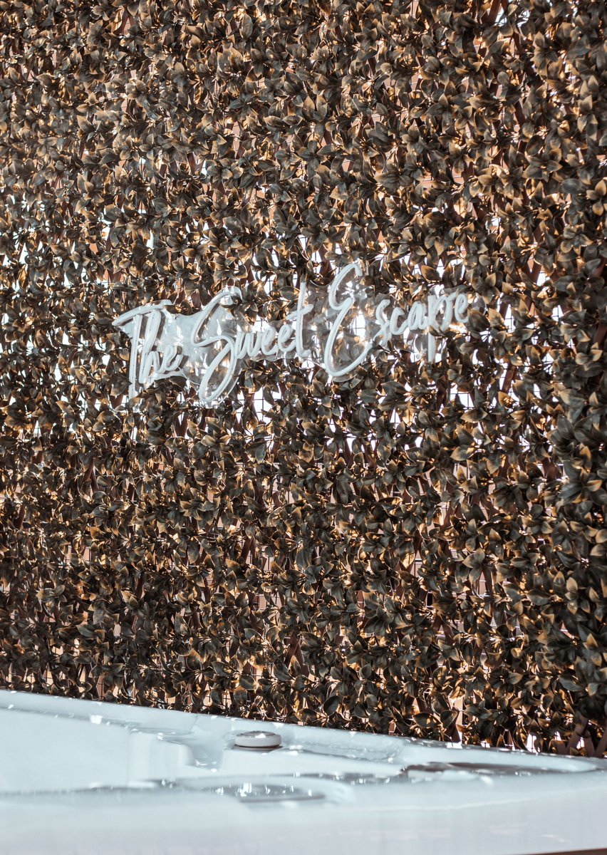 Skybound Perspectives tweet media