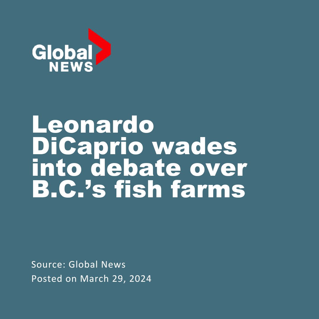 'The Canadian government is considering extending the licences of salmon farms for two to six years to give the industry more time to transition. DiCaprio posted on Instagram that would “break their promise to phase out open-net pen salmon farms by 2025.” He said people should
