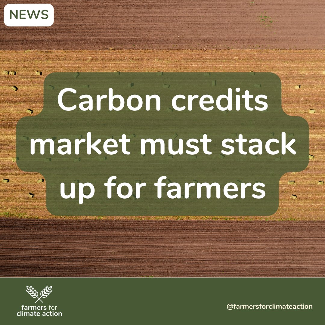 We’re urging government to heed scientists’ concerns about the integrity of Australia’s carbon credit market. Farmers for Climate Action is firm in its position that any market paying farmers for sequestering carbon must be scientific and robust. Info: bit.ly/4ae8CLm