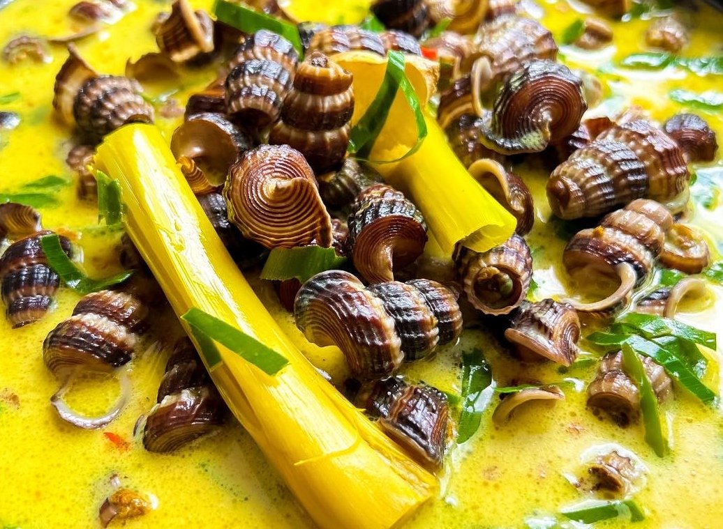 SIPUT SEDUT MASAK LEMAK CILI API...Org muda ada tak kenal&tak reti sedut siput ni!Tp ptg ni aku nak masak. Aku suka pedas!Aku beli satu kg di Pasar Sentul pg td.Lama tak jumpa.Pg td terjumpa.Apa lg...mcm org mengidamlah!Anda reti ke sedut?