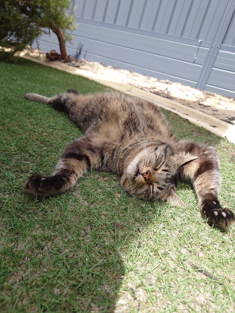 Tal Waterhouse tweet media