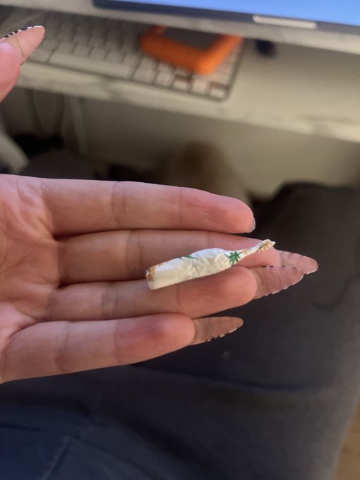 Lmao I&rsquo;m cryinnnn . What is thissss https://t.co/zHYTEAE0GO