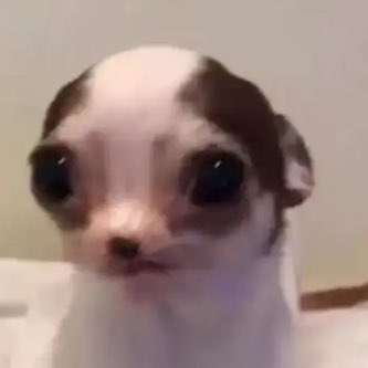 estefierritox's tweet photo. Me enamoré de un labial MUCHO me lo echaba cada dos minutos sin necesidad y me duró una semana https://t.co/X1CauyC51A