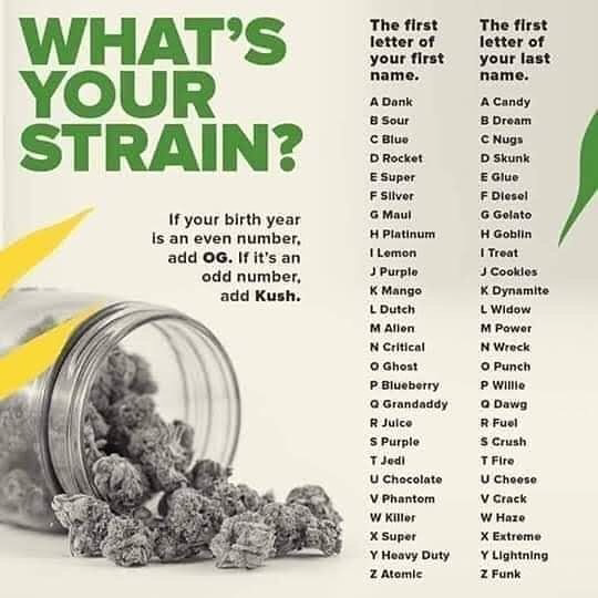 Herb Approach tweet media