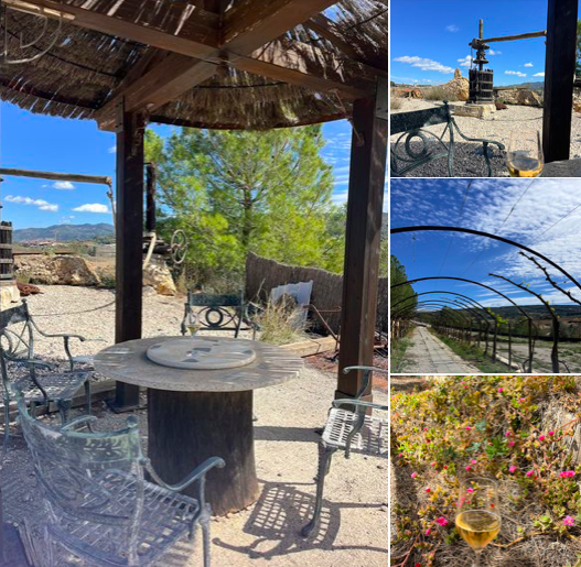 Idyllic place in the garden of Sabate i Coca estate. In the glass: Xarello Vermell Corpinnat.
Only 15 minutes walk from Sant Sadurní – it is worth it!