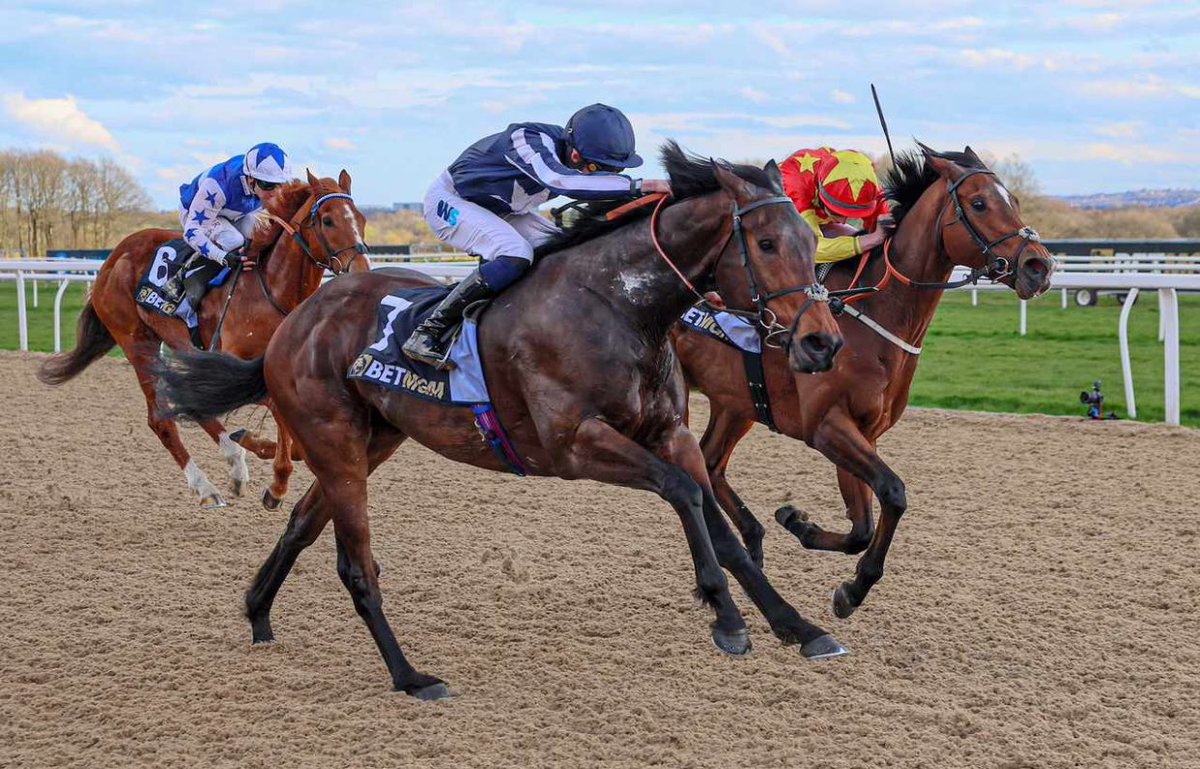 LFmagic's tweet image. Dream away day up at gossy park yesterday to witness Talis Evolvere scoop the AW mile hcap for the boy @chazaustin10 under a peach of a ride from @Joeleavy05 for @rhannonracing  amazing to rep the horse and be part of the day, best of luck for the summer all 👏🏻🎲 @Liam_Smith_95