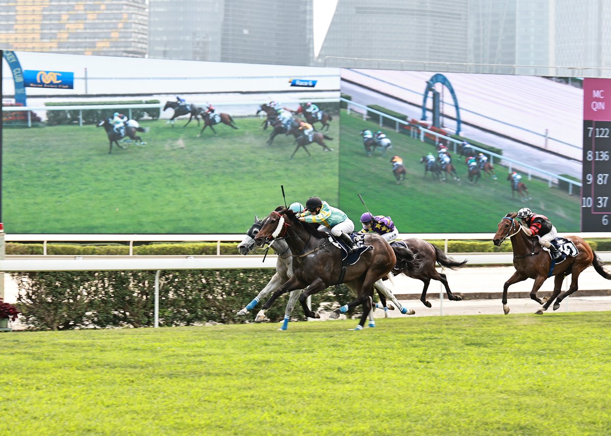 Macau Jockey Club tweet media