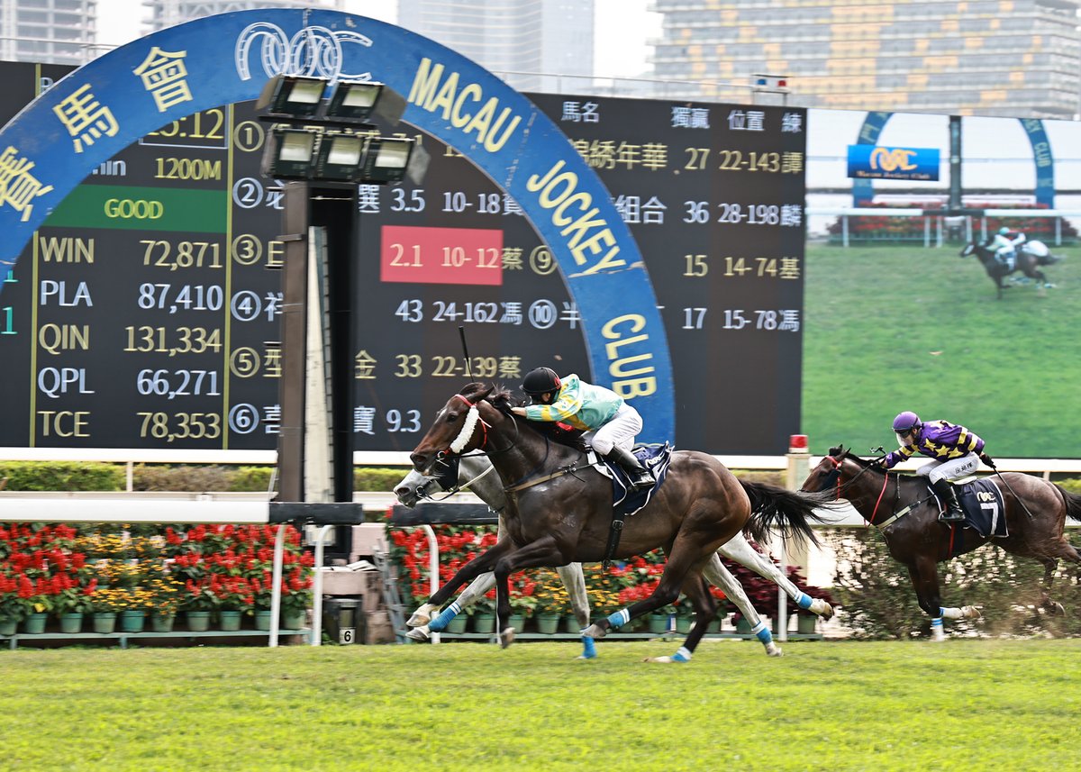 Macau Jockey Club tweet media