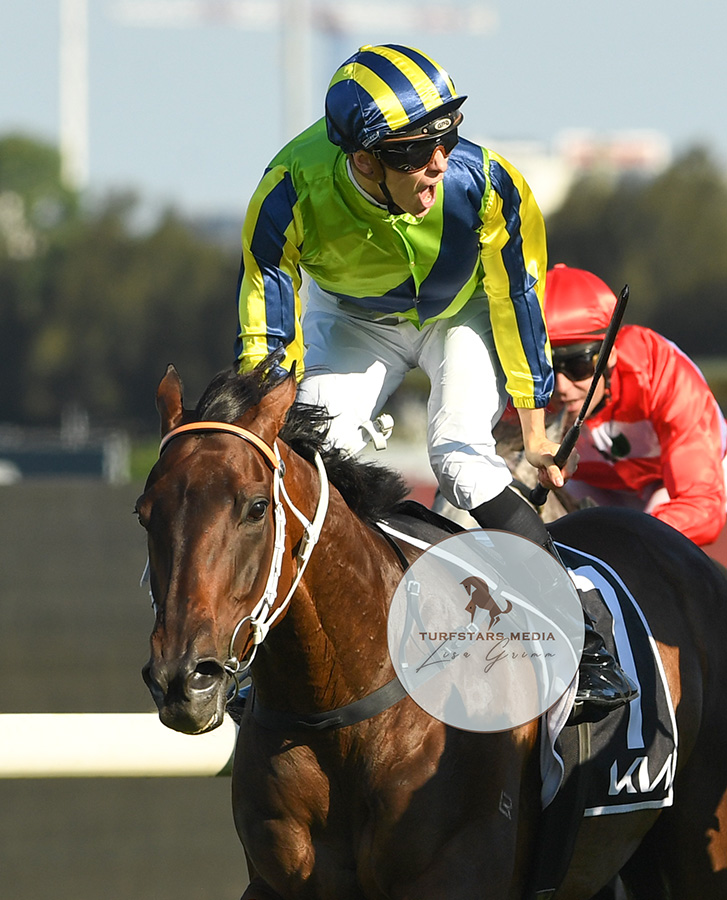 🥇Congratulations Dylan Gibbons and the Kris Lees racing stable on taking out the Group 1 KIA TANCRED STAKES (2400 METRES) with KALAPOUR (IRE) (War Command x Kaladena)