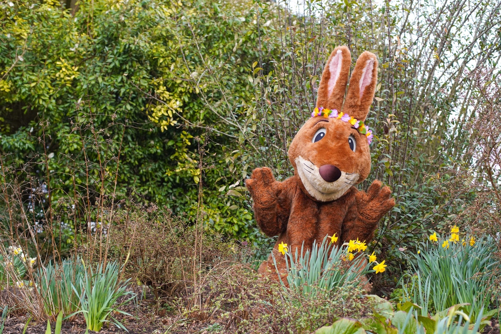 Meet the Easter Bunny at Marwell Hall until Monday 1 April. Tickets are £5 per child and include a gift.🐇 Book your zoo tickets now: bit.ly/MarwellTickets Plus, enjoy Easter themed activities throughout the holidays! #easterbunny #happyeaster #thingstodo