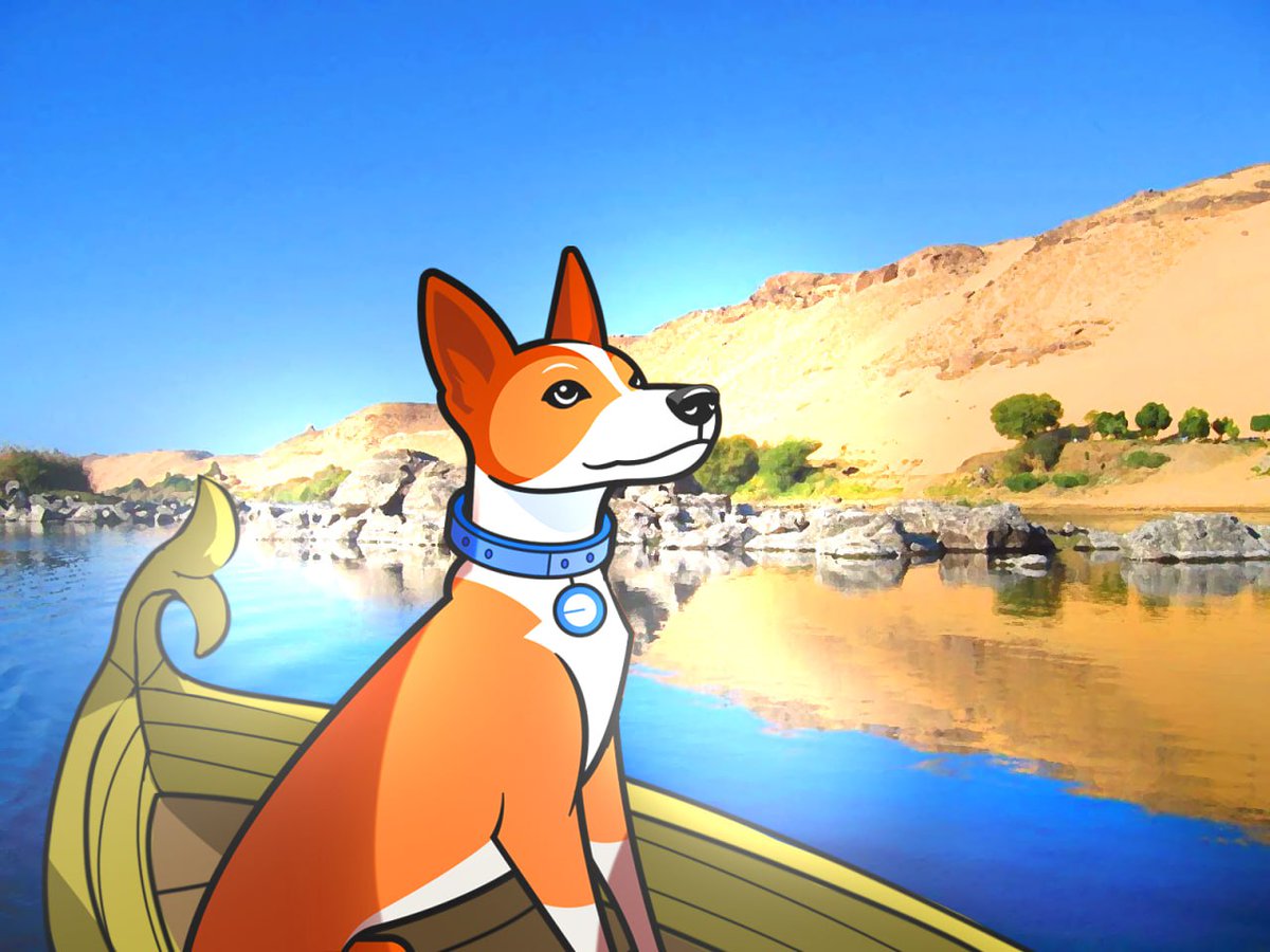 Basenji tweet media
