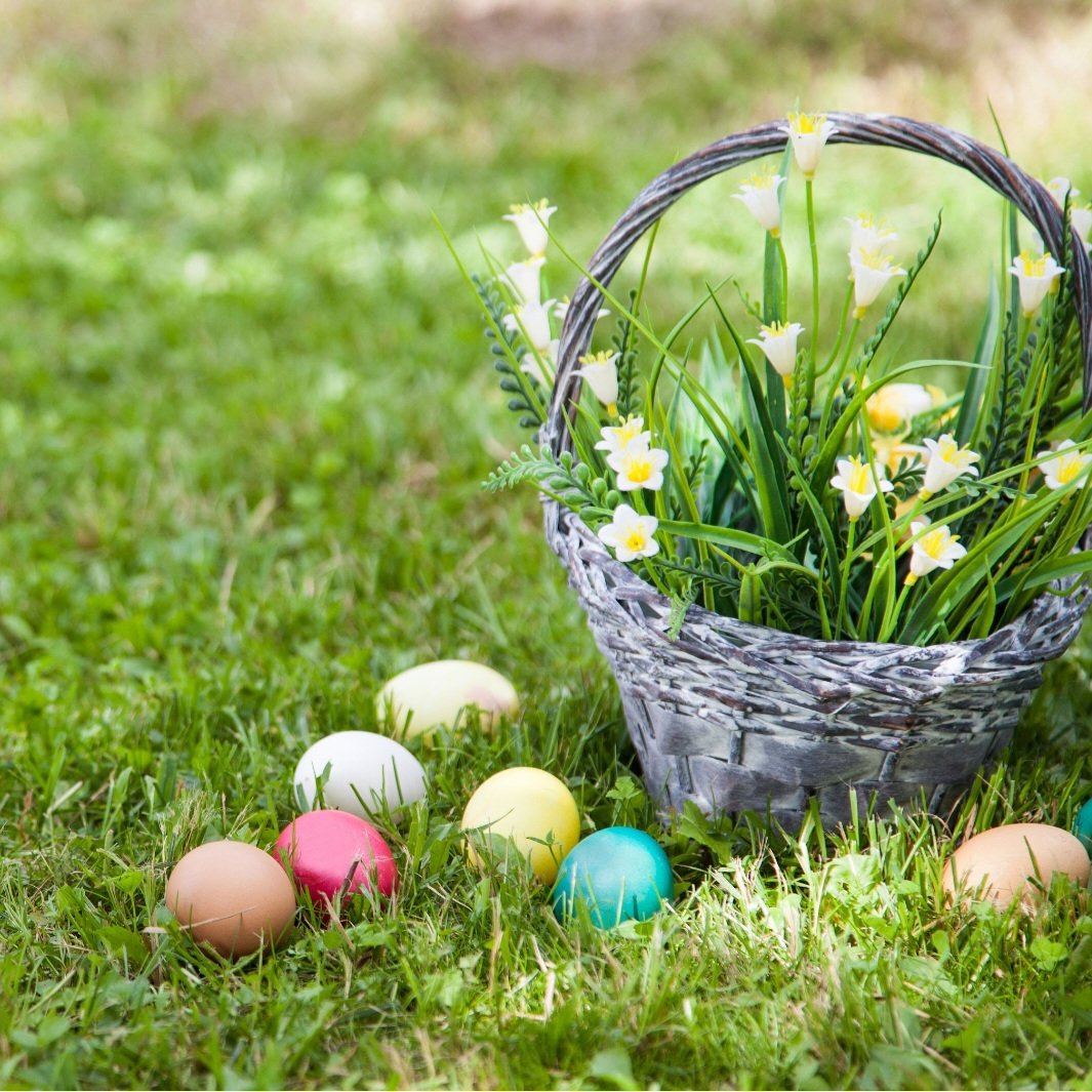 Happy Easter - wishing you all a successful holiday period! Thanks to all who signed our letter to the new First Minister, reinforcing need for action on threats and asking for role of (Dep) Min for Tourism be restored. MPs also contacted re UK FHL tax changes. Updates ASAP!