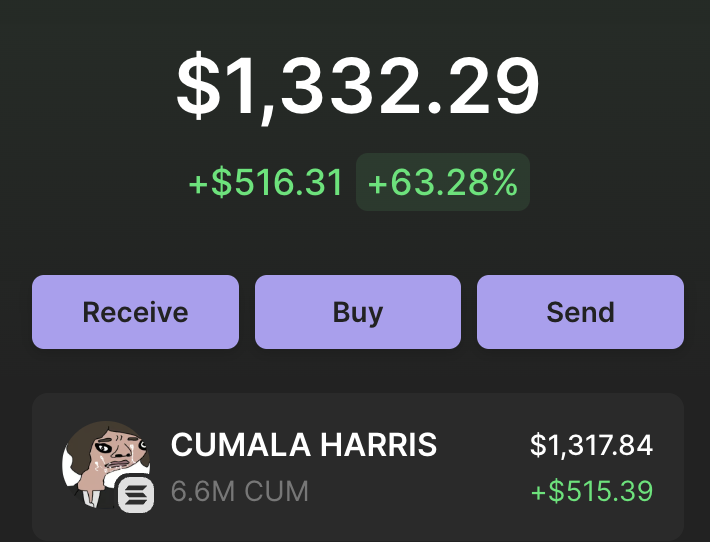 Welcome $CUM to my CUMFOLIO on $SOL