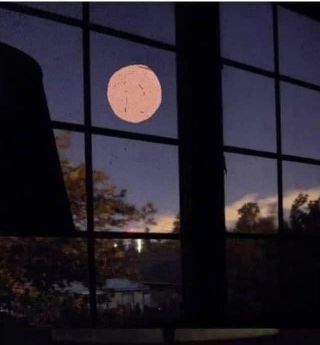 Hello, I got tired of waiting for the Pink Moon so I put a slice of Bologna on the window.