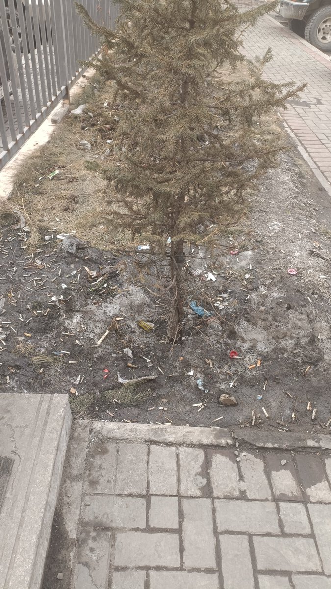 Өнөөдрийн Монголын байгаа байдал үнэхээр олонхын хүссэн зүйл мөн гэж үү?

Рациональ шинжийн парадоксыг үүнээс илүү яаж нотлох вэ?