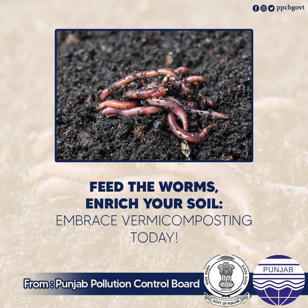 Feed the worms, enrich your soil; embrace vermicomposting today

Punjab Pollution Control Board - PPCB
#PPCB #Punjabpollutioncontrolboard #pollutioncontrol #pollutioncontrolboardindia #punjab #india #punjabgovt #ppcbgovt