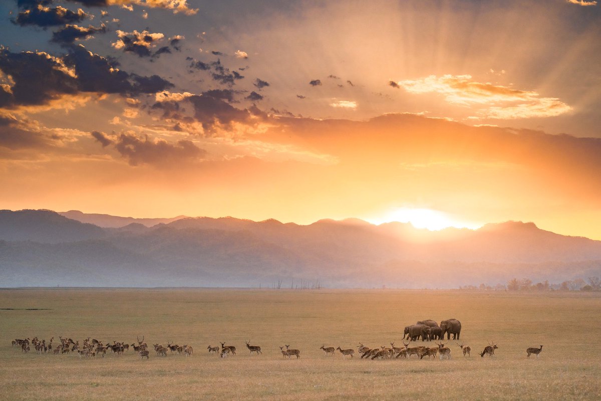 A paradise on earth called #CorbettTigerReserve Do you believe ? 🤩