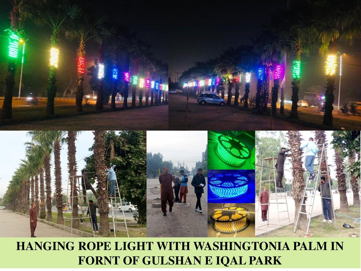 Parks and Horticulture Authority, Gujranwala tweet media