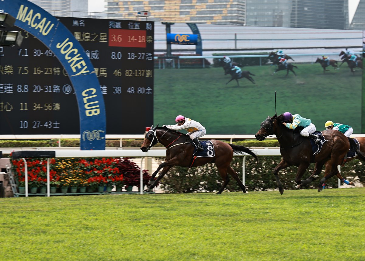 Macau Jockey Club tweet media