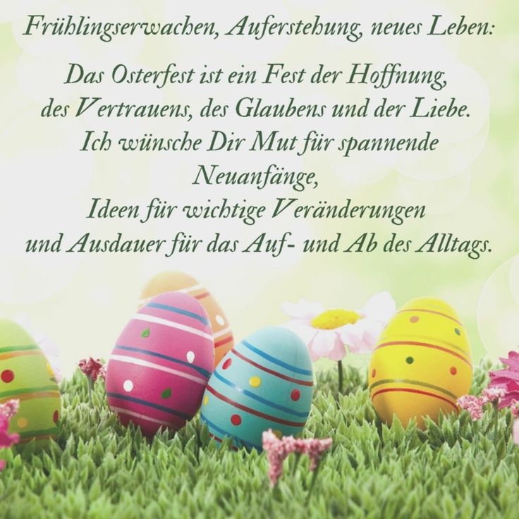 Oster-Alarm! 🐰✨ Sagt dem Winterblues Adieu mit Lichttherapie bei SB Consulting. Bringt Energie in den Frühling und begeistert den Osterhasen! 🌞 Bereit für ein strahlendes Update? Lassen wir diesen Frühling gemeinsam leuchten! #FroheOstern #Lichttherapie #Frühlingszauber