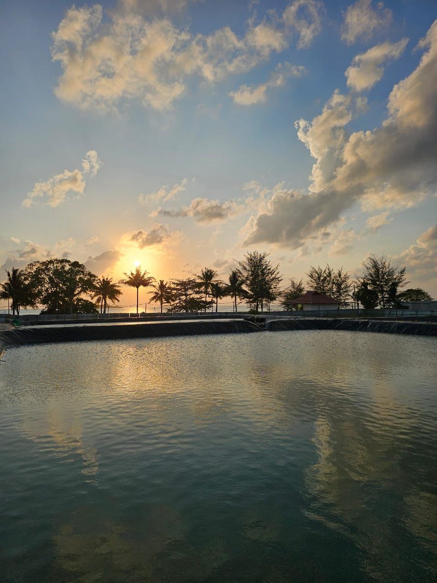 Adek Uta tweet media