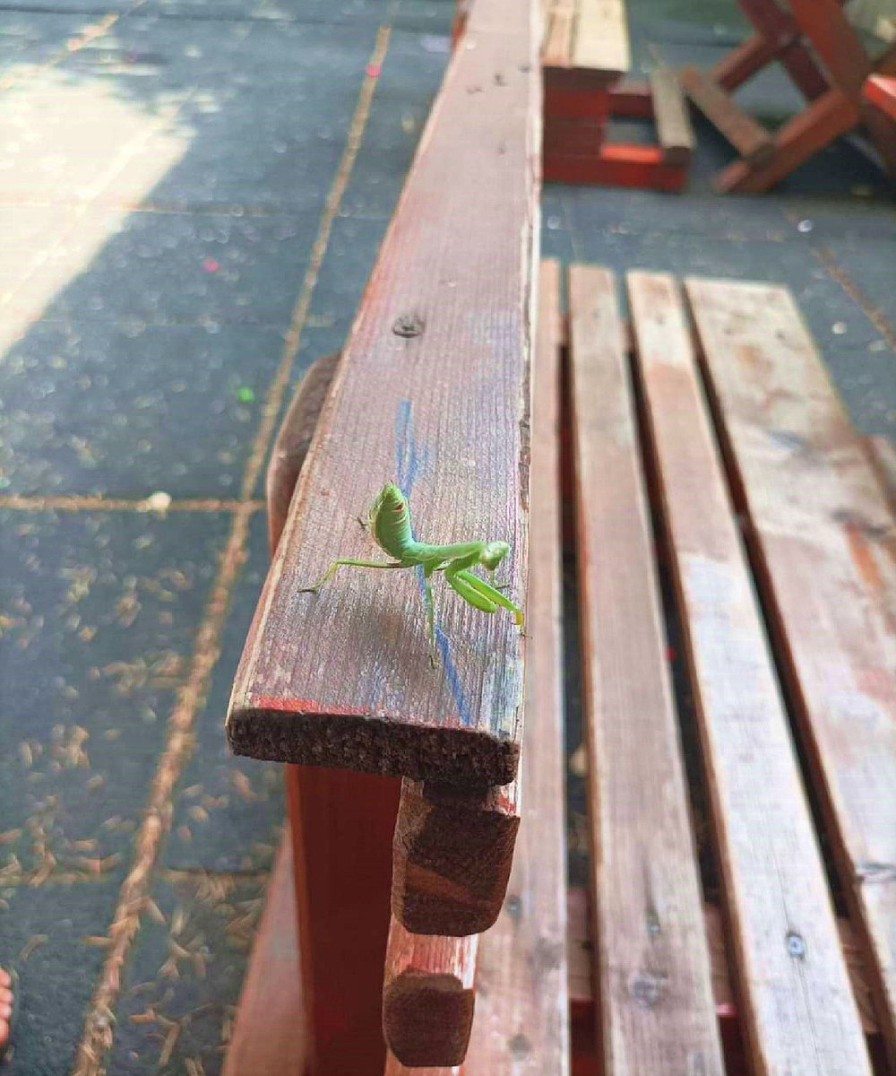 GuideToRomania's tweet image. Hello Friend! [buff.ly/44amYZL] #DraculaLand #Romania #Bucharest #beautiful #nature #spring