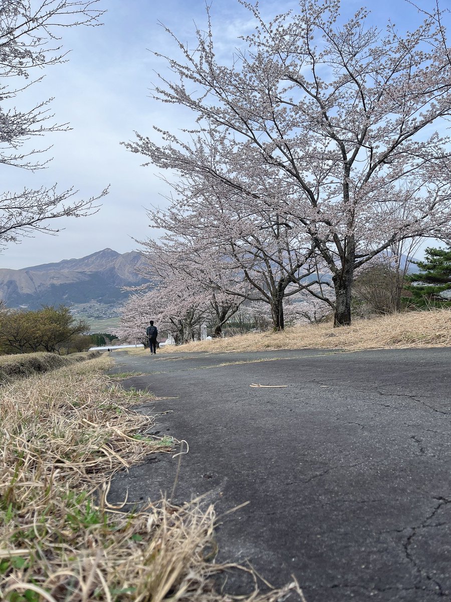 お花見ー

やっぱここに遊びに来てしまうんだよなぁ

今年もやらんかな阿蘇ロック