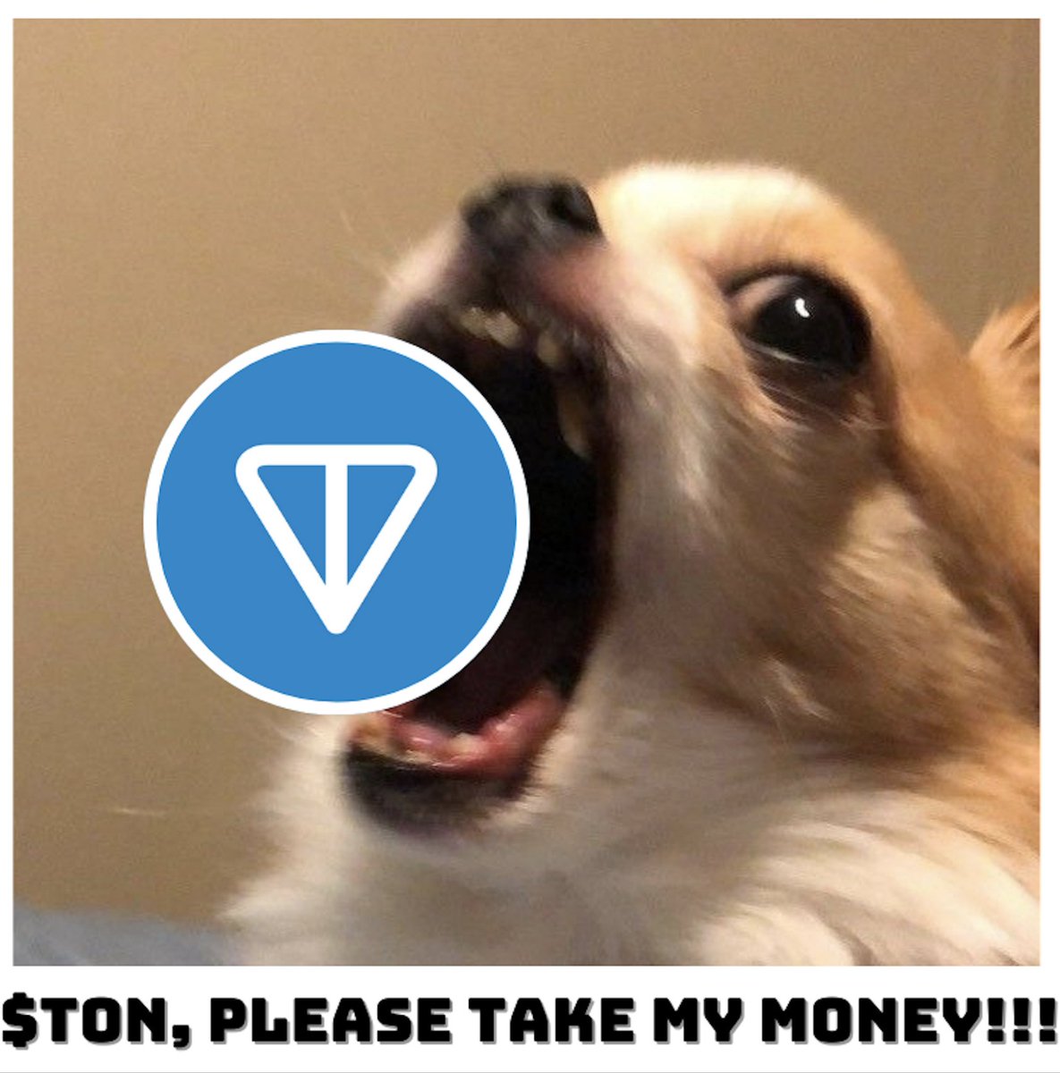 TON blockchain is among the most hyped narratives these days.

Top 12 on CoinMarketCap, which is huge, but might not fully capture $TON ambitions.

Let's explore the top 3 projects on TON blockchain that are on my watchlist!

🧵.🧵