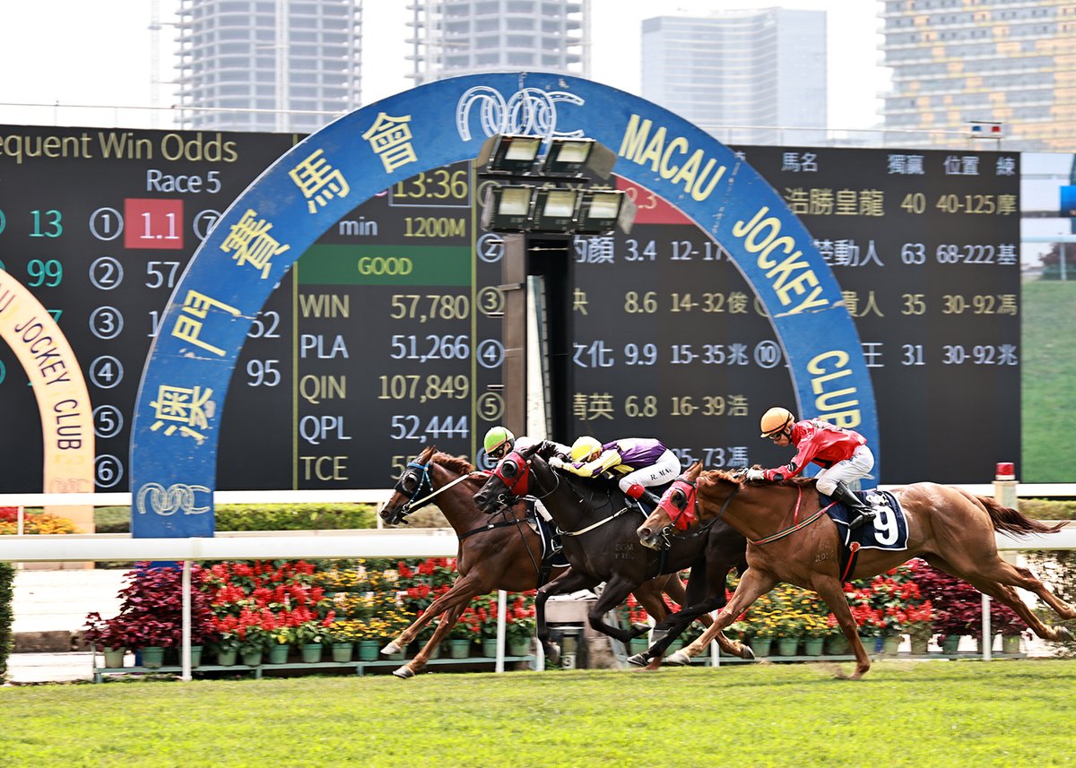Macau Jockey Club tweet media