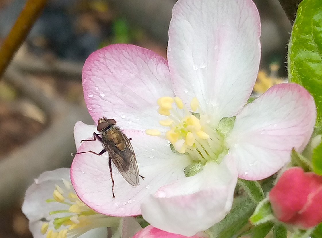 Ashenafi (@ashenafik_) on Twitter photo 