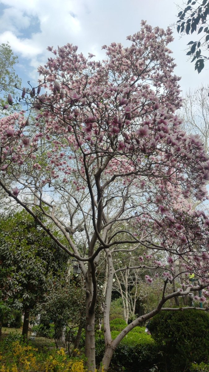 库特水 (@ku_shui82671) on Twitter photo 