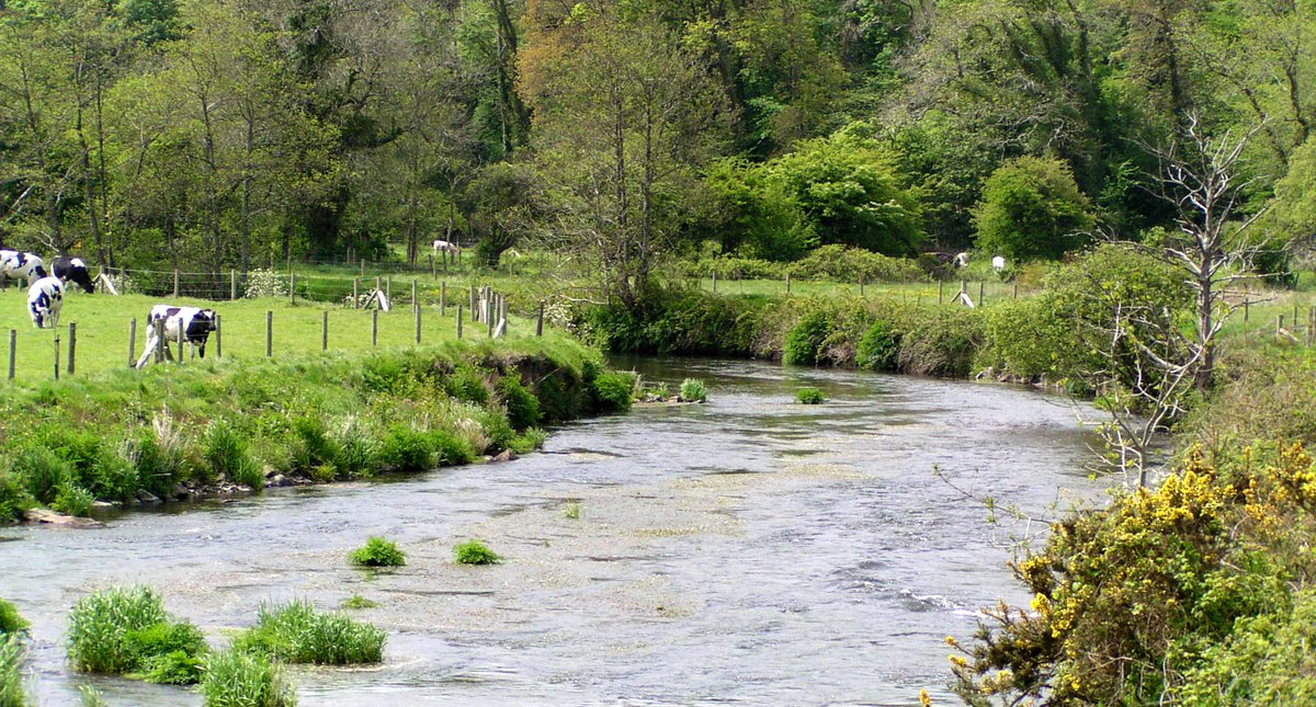 When it comes to phosphorus pollution, Wales’s two worst performing SAC rivers are often overlooked. And in a week where the latest storm overflow data was released, attention is frequently diverted away from the biggest contributors to water quality problems in Wales. 1/3