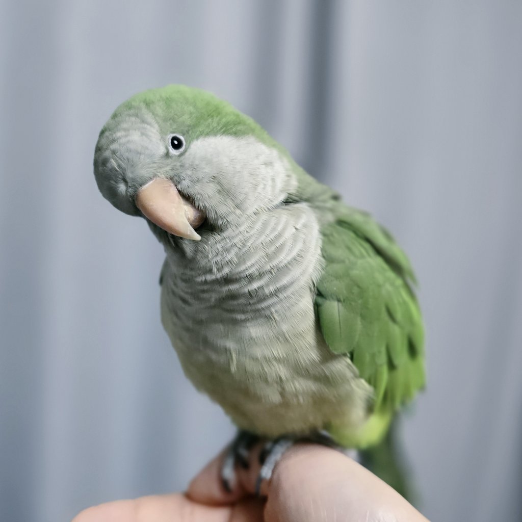 오늘의 두 마리